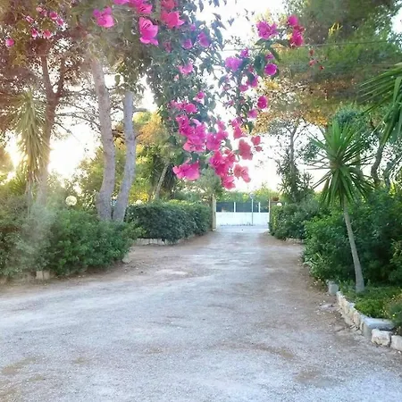 Palese Торре-Сан-Джованни-Удженто