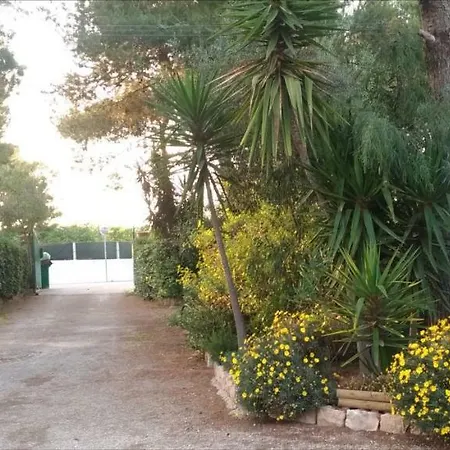 Фермерский дом Palese Торре-Сан-Джованни-Удженто