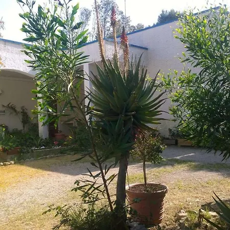 Palese Κατάλυμα σε φάρμα Torre San Giovanni Ugento