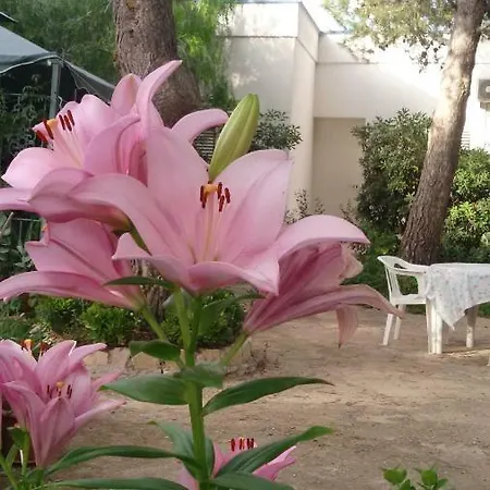 Farm stay Palese